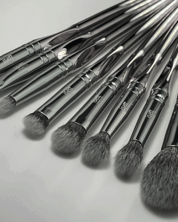 Professional Brush Set